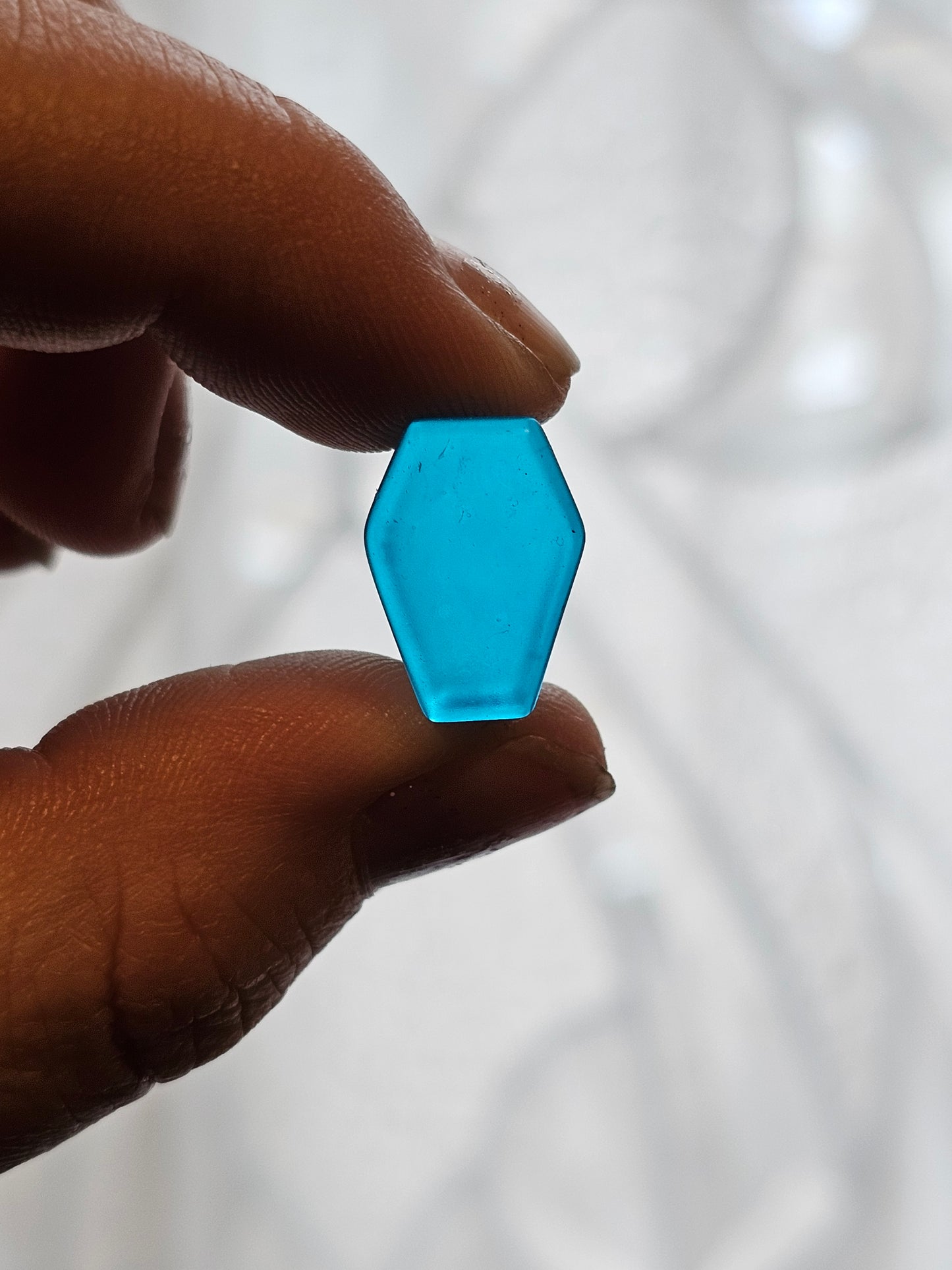 Pretty Morbid Collection Coffin Shaped Plug Earrings