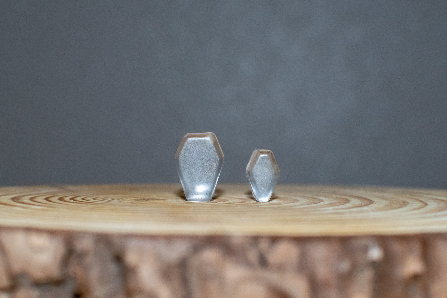 Pretty Morbid Collection Coffin Shaped Plug Earrings